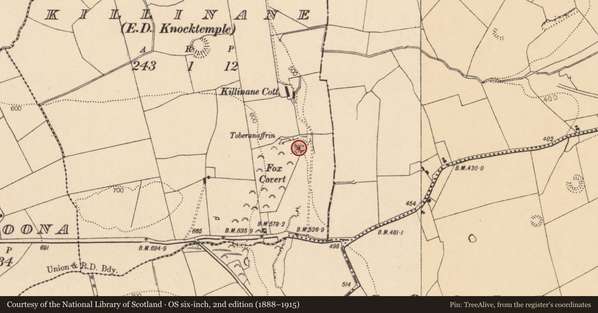 Ordnance Survey six-inch map, 2nd edition (1888–1915) covering the location of Ringfort - rath, Killinane (Duhallow By., Knocktemple Par.), County Cork, with a pin at the register's coordinates
