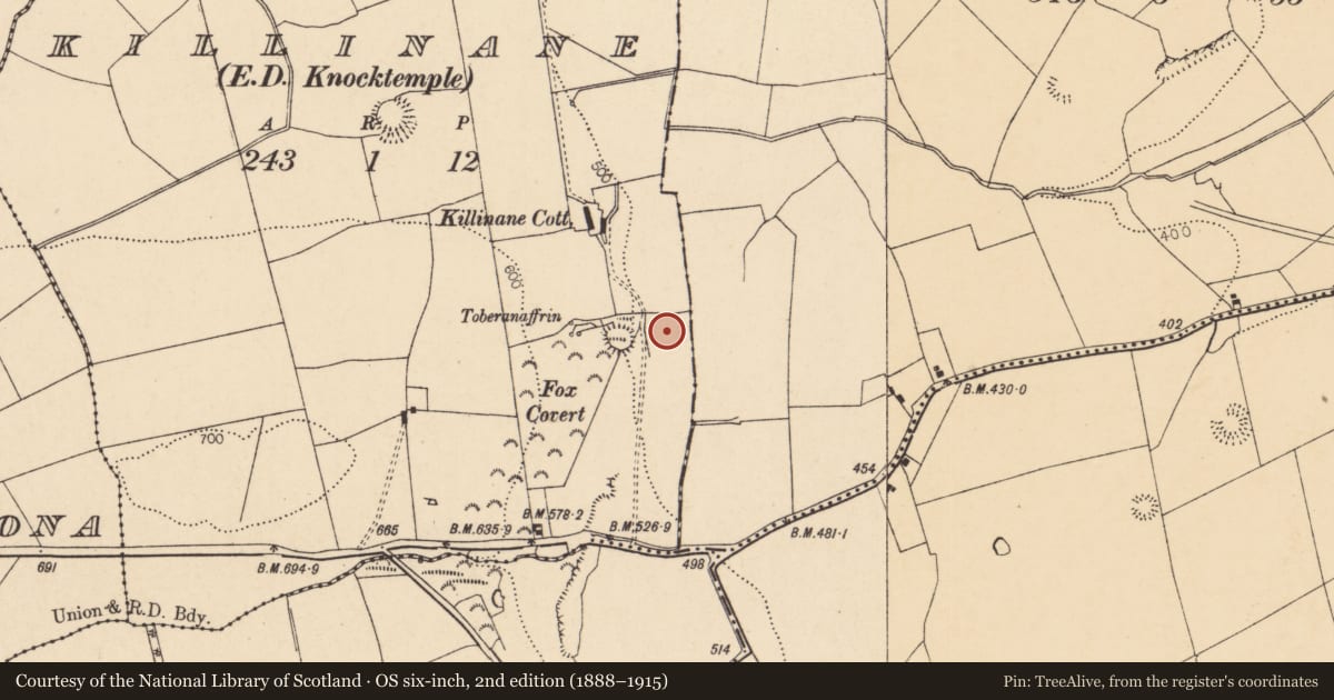 Ordnance Survey six-inch map, 2nd edition (1888–1915) covering the location of Fulacht fia, Killinane (Duhallow By., Knocktemple Par.), County Cork, with a pin at the register's coordinates