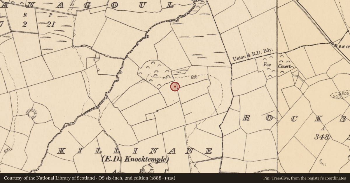 Ordnance Survey six-inch map, 2nd edition (1888–1915) covering the location of Ringfort - rath, Killinane (Duhallow By., Knocktemple Par.), County Cork, with a pin at the register's coordinates