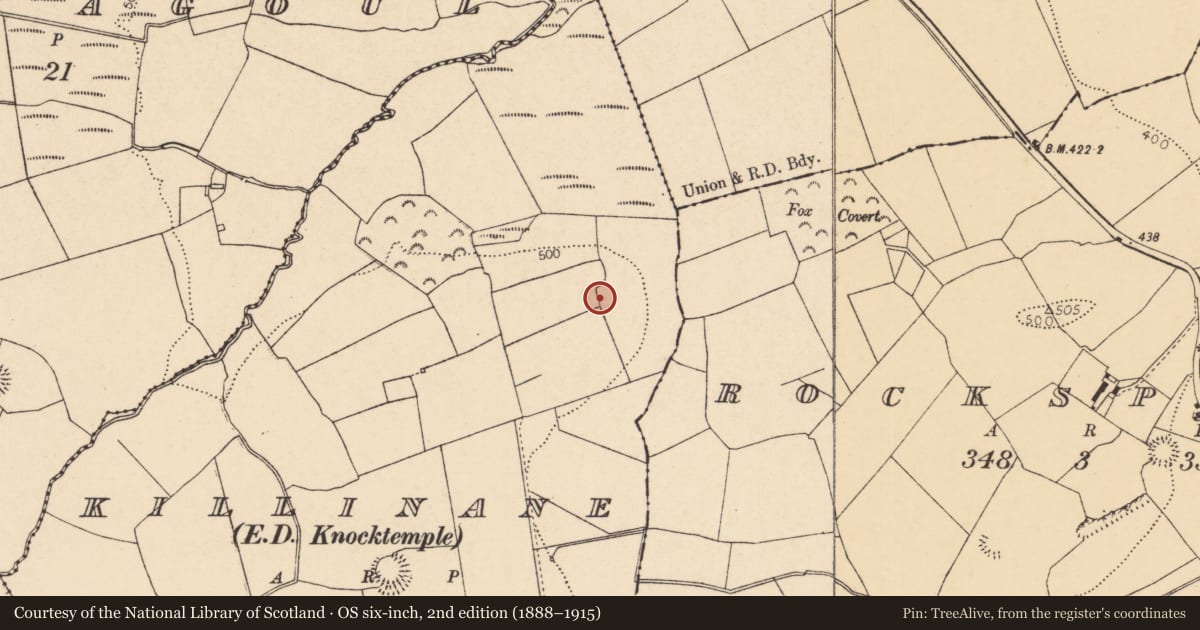 Ordnance Survey six-inch map, 2nd edition (1888–1915) covering the location of Ringfort - rath, Killinane (Duhallow By., Knocktemple Par.), County Cork, with a pin at the register's coordinates