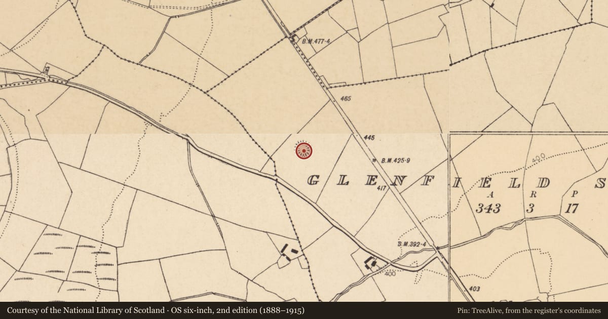 Ordnance Survey six-inch map, 2nd edition (1888–1915) covering the location of Ringfort - rath, Glenfield South, County Cork, with a pin at the register's coordinates
