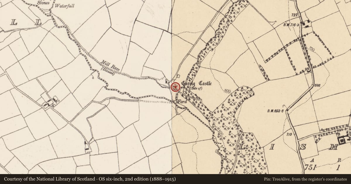 Ordnance Survey six-inch map, 2nd edition (1888–1915) covering the location of Castle - unclassified, Carrigcastle, County Cork, with a pin at the register's coordinates