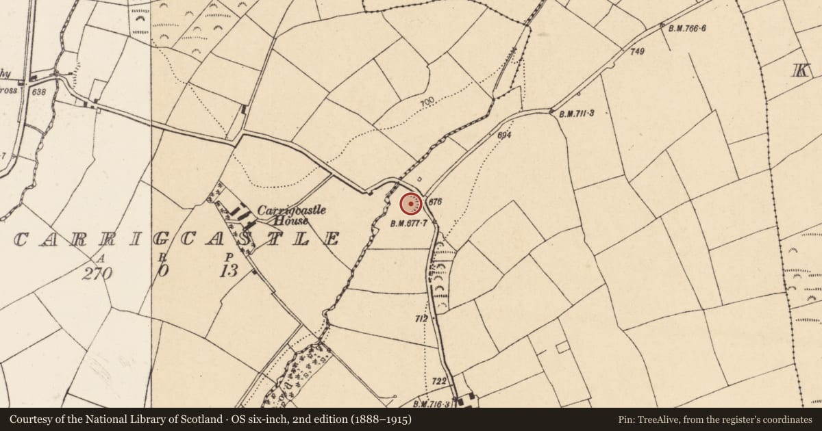 Ordnance Survey six-inch map, 2nd edition (1888–1915) covering the location of Quarry, Lismire, County Cork, with a pin at the register's coordinates