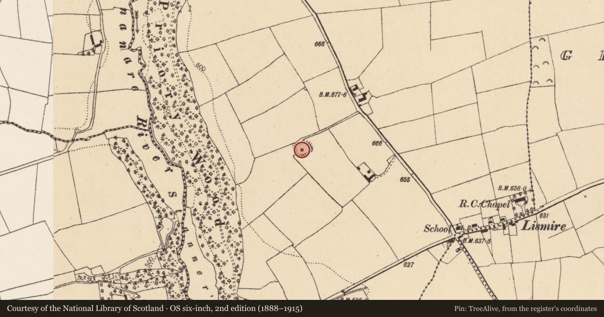 Ordnance Survey six-inch map, 2nd edition (1888–1915) covering the location of Kiln - lime, Lismire, County Cork, with a pin at the register's coordinates