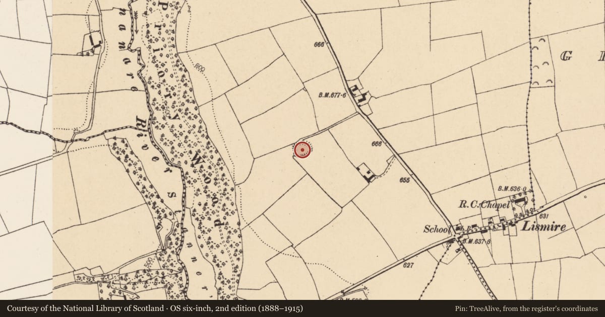 Ordnance Survey six-inch map, 2nd edition (1888–1915) covering the location of Church, Lismire, County Cork, with a pin at the register's coordinates