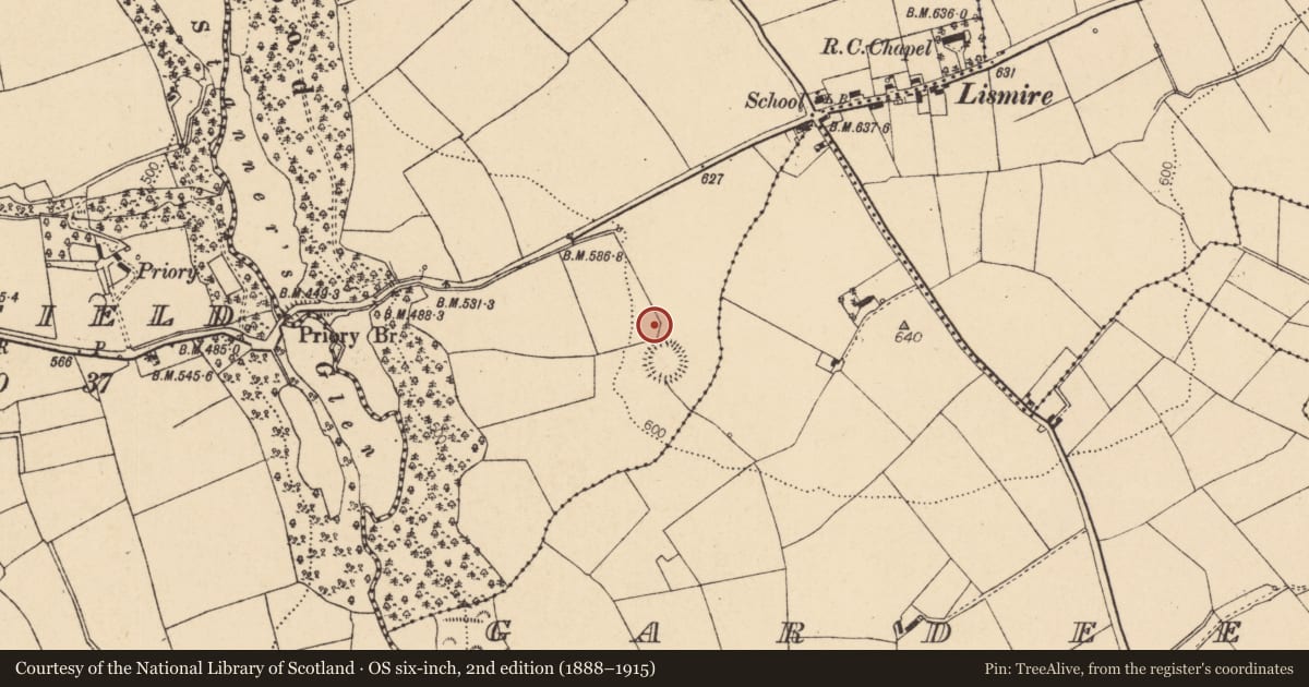 Ordnance Survey six-inch map, 2nd edition (1888–1915) covering the location of Fulacht fia, Lismire, County Cork, with a pin at the register's coordinates