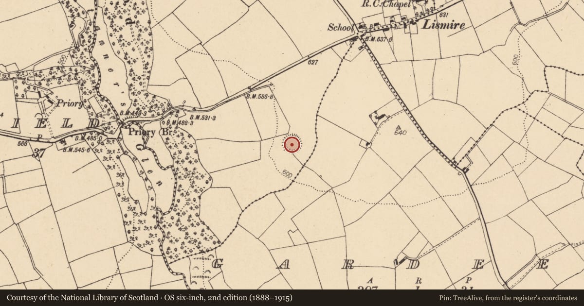 Ordnance Survey six-inch map, 2nd edition (1888–1915) covering the location of Ringfort - rath, Lismire, County Cork, with a pin at the register's coordinates