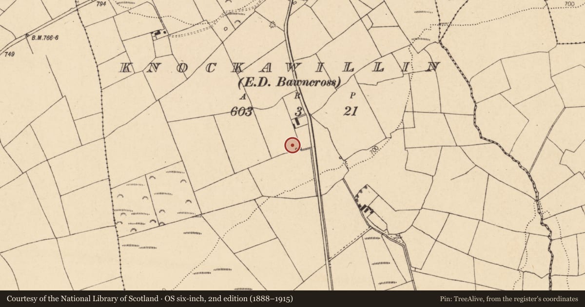 Ordnance Survey six-inch map, 2nd edition (1888–1915) covering the location of Fulacht fia, Knockawillin (Duhallow By., Clonfert Par.), County Cork, with a pin at the register's coordinates