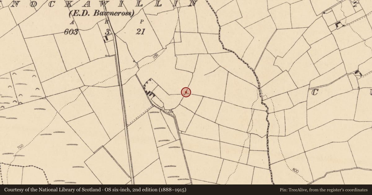 Ordnance Survey six-inch map, 2nd edition (1888–1915) covering the location of Fulacht fia, Knockawillin (Duhallow By., Clonfert Par.), County Cork, with a pin at the register's coordinates