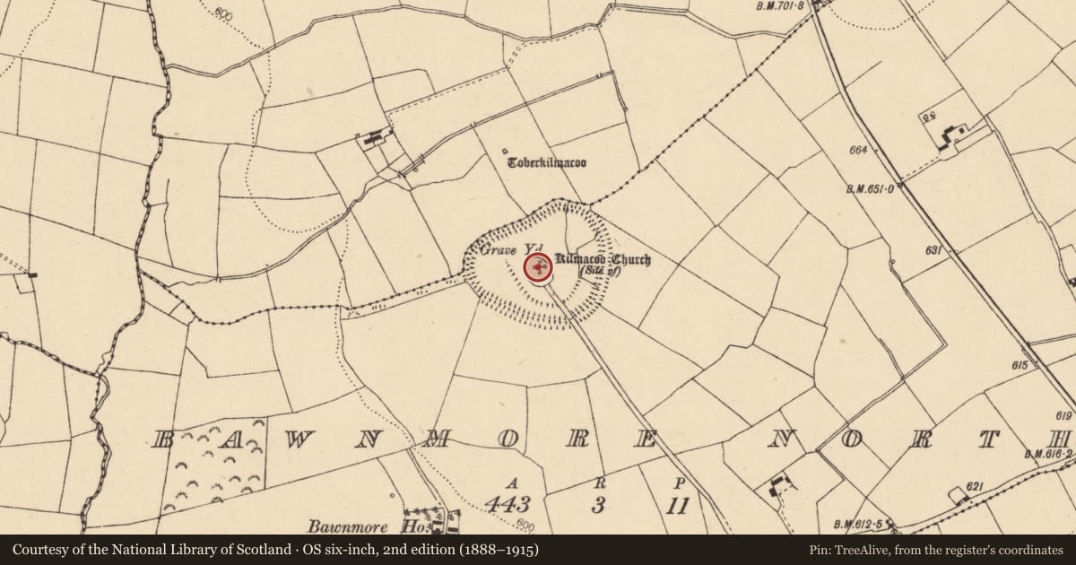 Ordnance Survey six-inch map, 2nd edition (1888–1915) covering the location of Church, Bawnmore North, County Cork, with a pin at the register's coordinates