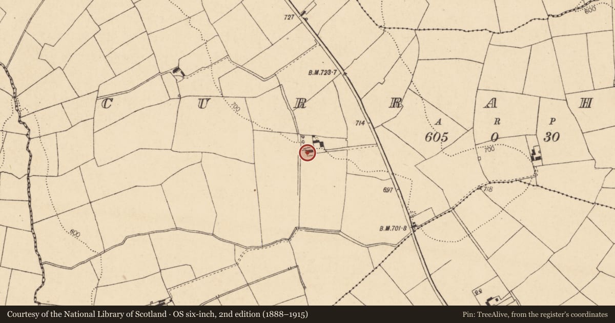 Ordnance Survey six-inch map, 2nd edition (1888–1915) covering the location of House - vernacular house, Curraheen, County Cork, with a pin at the register's coordinates