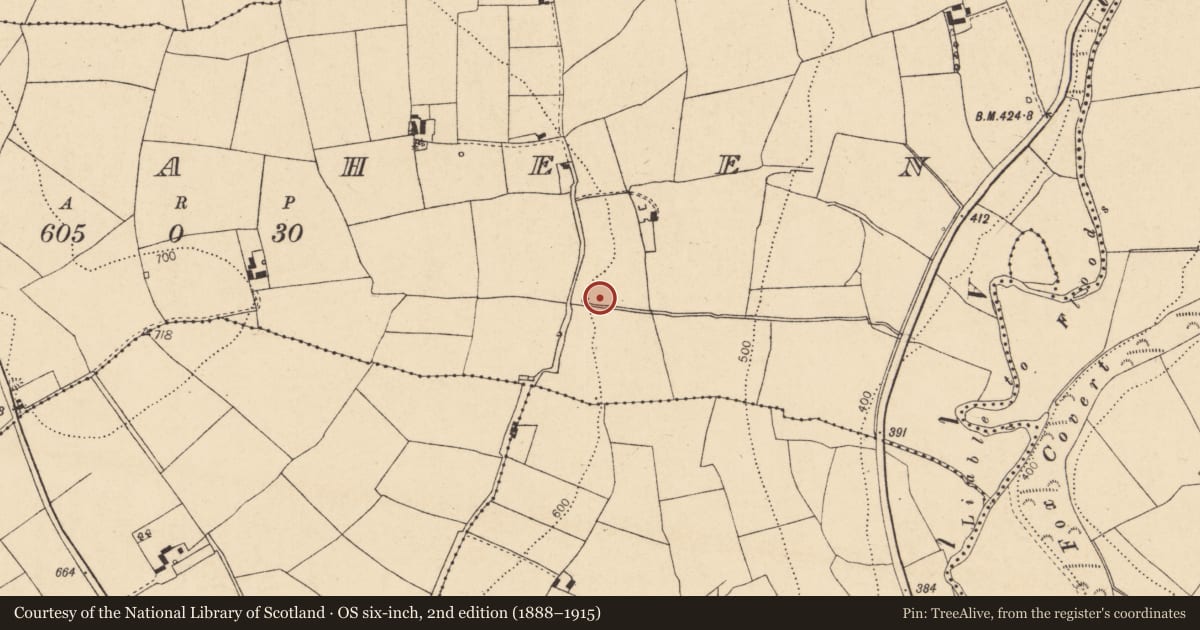 Ordnance Survey six-inch map, 2nd edition (1888–1915) covering the location of Fulacht fia, Curraheen, County Cork, with a pin at the register's coordinates