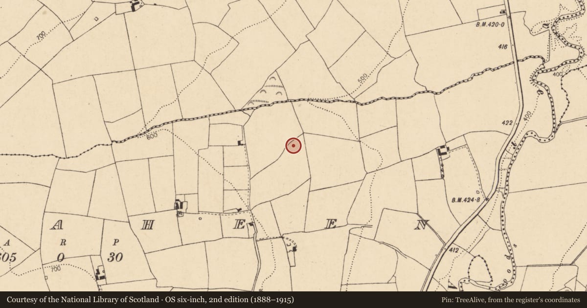 Ordnance Survey six-inch map, 2nd edition (1888–1915) covering the location of Fulacht fia, Curraheen, County Cork, with a pin at the register's coordinates