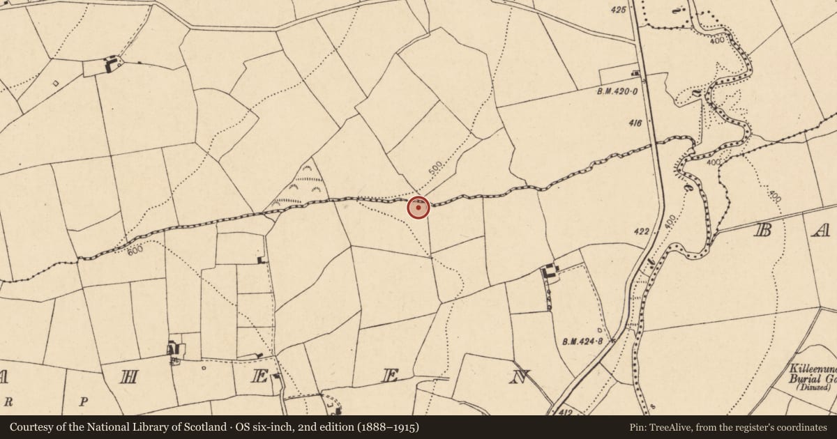 Ordnance Survey six-inch map, 2nd edition (1888–1915) covering the location of Fulacht fia, Curraheen, County Cork, with a pin at the register's coordinates