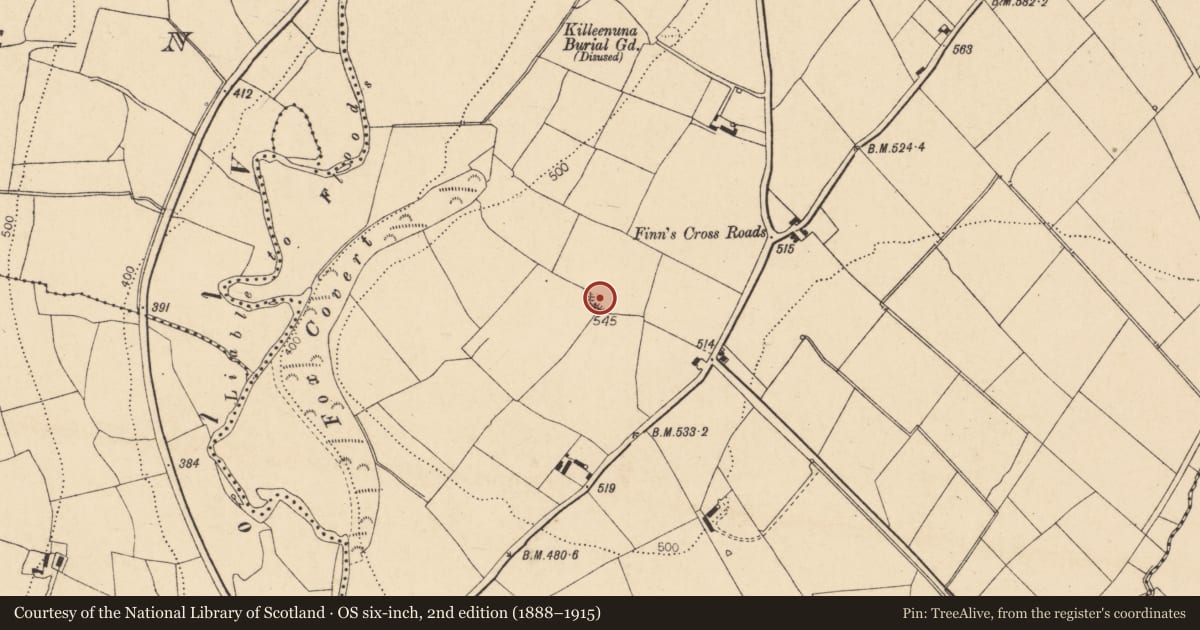 Ordnance Survey six-inch map, 2nd edition (1888–1915) covering the location of Ringfort - rath, Ballybahallagh, County Cork, with a pin at the register's coordinates