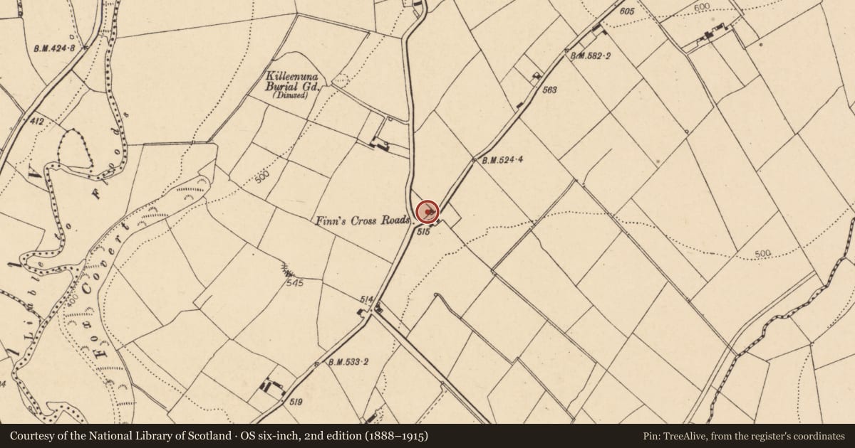 Ordnance Survey six-inch map, 2nd edition (1888–1915) covering the location of House - vernacular house, Ballybahallagh, County Cork, with a pin at the register's coordinates