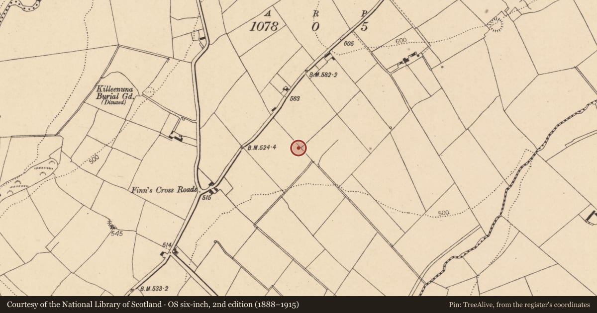 Ordnance Survey six-inch map, 2nd edition (1888–1915) covering the location of Fulacht fia, Ballybahallagh, County Cork, with a pin at the register's coordinates