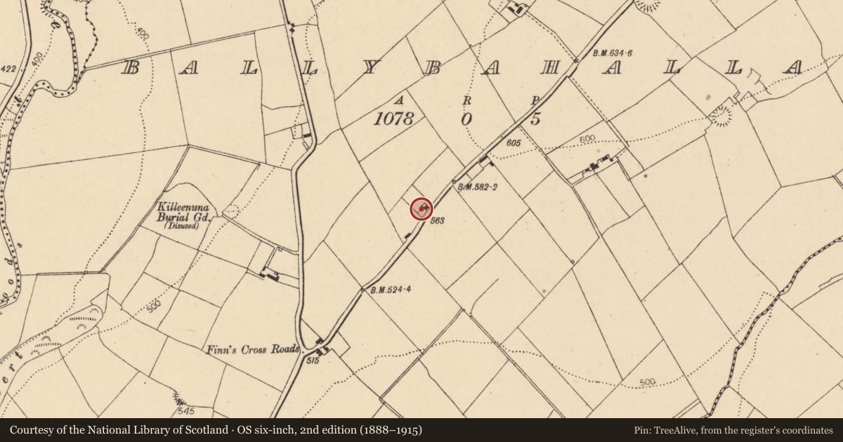 Ordnance Survey six-inch map, 2nd edition (1888–1915) covering the location of House - vernacular house, Ballybahallagh, County Cork, with a pin at the register's coordinates