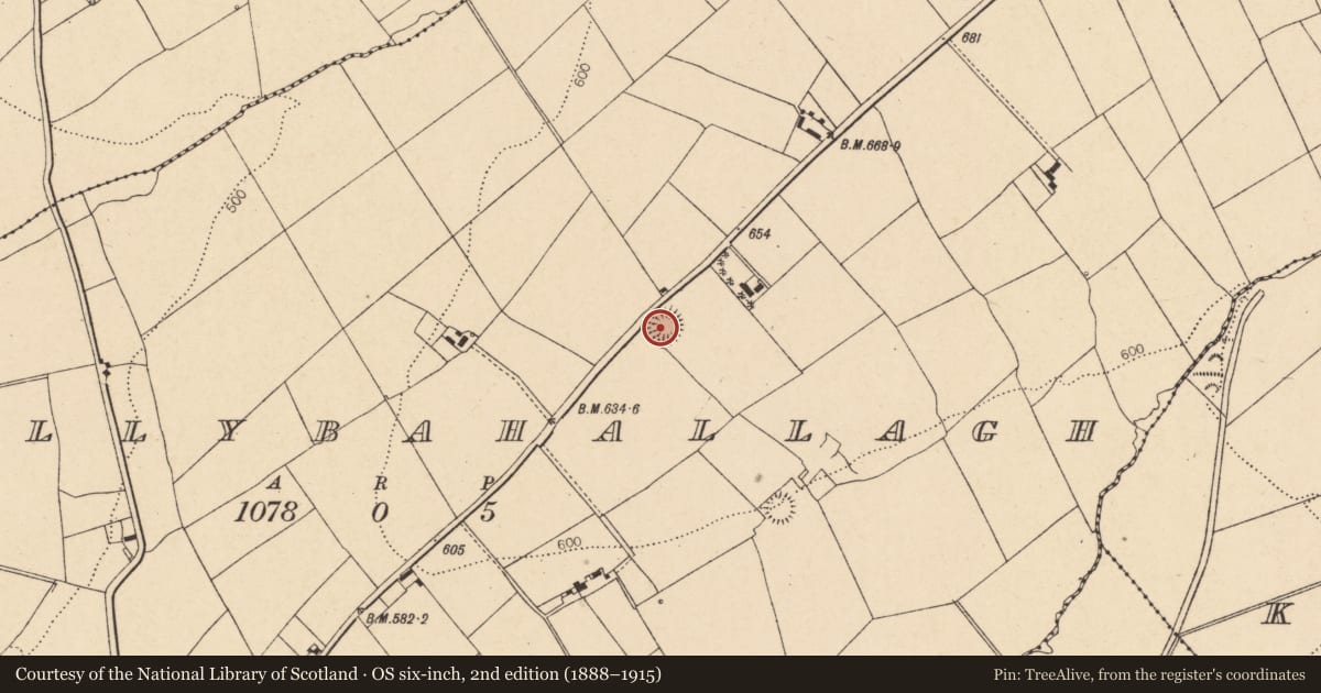 Ordnance Survey six-inch map, 2nd edition (1888–1915) covering the location of Ringfort - rath, Ballybahallagh, County Cork, with a pin at the register's coordinates