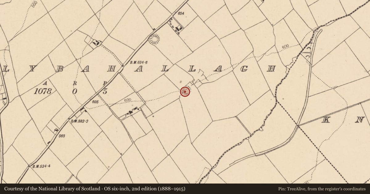 Ordnance Survey six-inch map, 2nd edition (1888–1915) covering the location of Ringfort - rath, Ballybahallagh, County Cork, with a pin at the register's coordinates