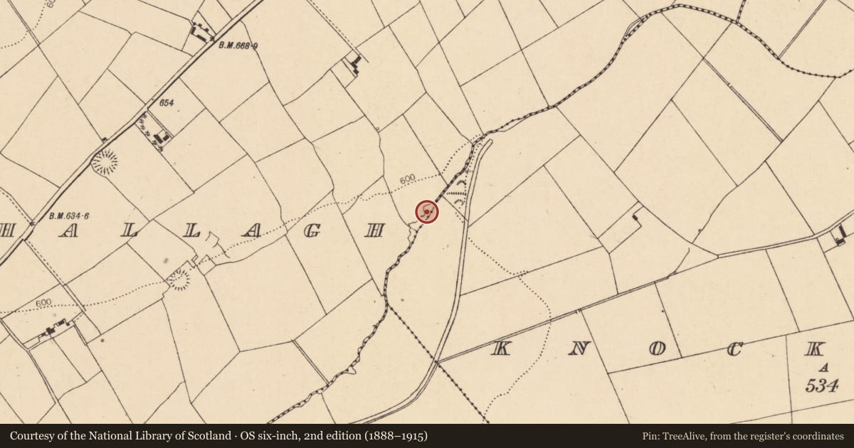 Ordnance Survey six-inch map, 2nd edition (1888–1915) covering the location of Fulacht fia, Ballybahallagh, County Cork, with a pin at the register's coordinates