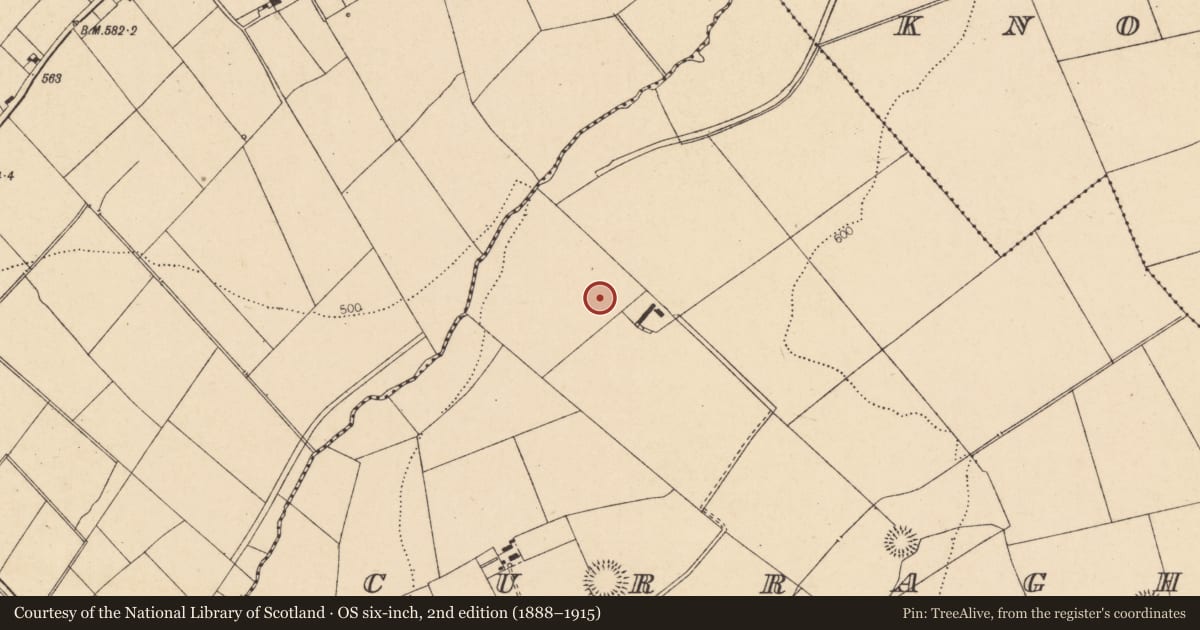Ordnance Survey six-inch map, 2nd edition (1888–1915) covering the location of Ringfort - rath, Curraghs, County Cork, with a pin at the register's coordinates