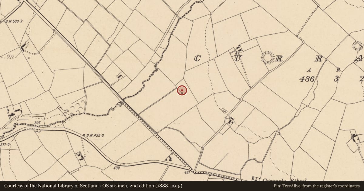 Ordnance Survey six-inch map, 2nd edition (1888–1915) covering the location of Fulacht fia, Curraghs, County Cork, with a pin at the register's coordinates