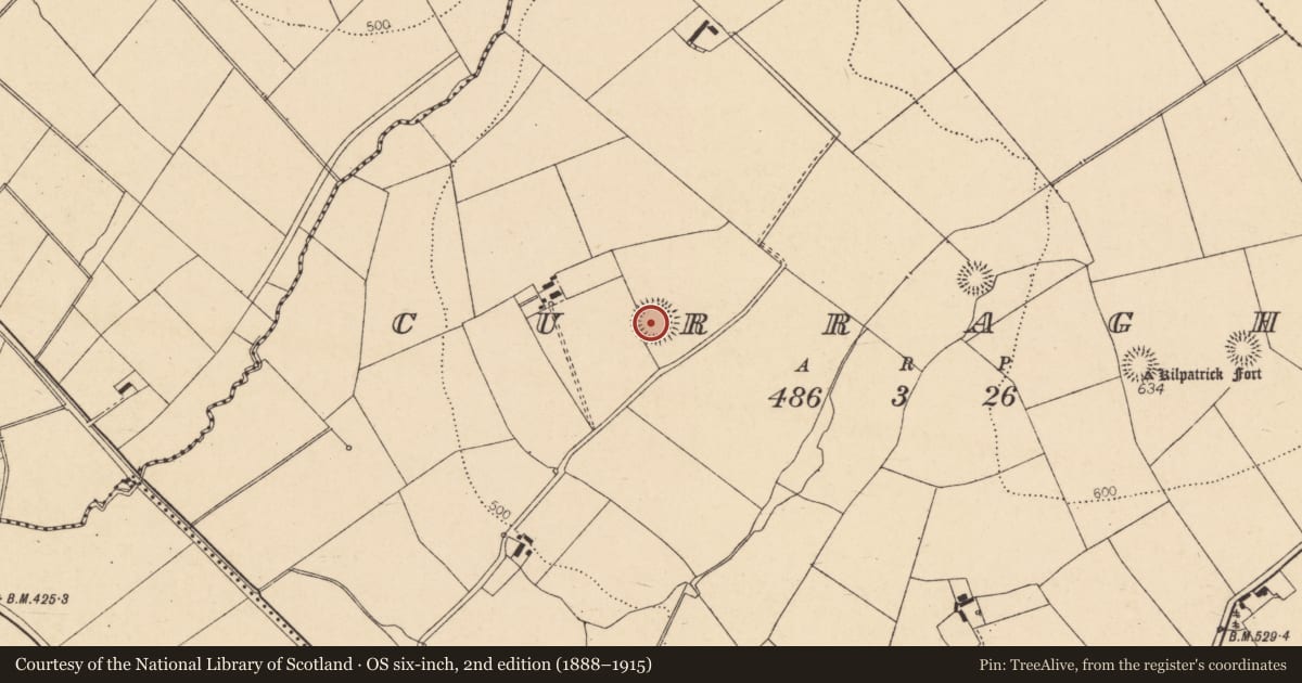 Ordnance Survey six-inch map, 2nd edition (1888–1915) covering the location of Ringfort - rath, Curraghs, County Cork, with a pin at the register's coordinates