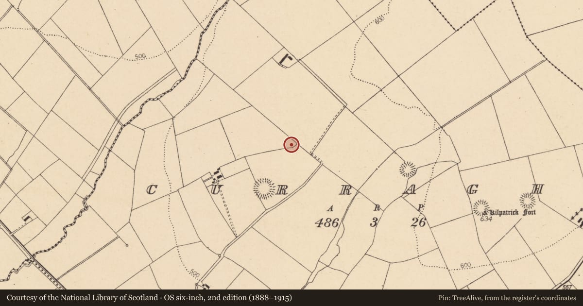 Ordnance Survey six-inch map, 2nd edition (1888–1915) covering the location of Fulacht fia, Curraghs, County Cork, with a pin at the register's coordinates