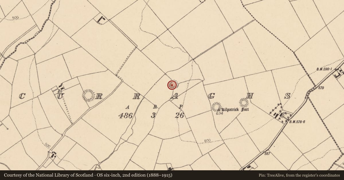 Ordnance Survey six-inch map, 2nd edition (1888–1915) covering the location of Ringfort - rath, Curraghs, County Cork, with a pin at the register's coordinates