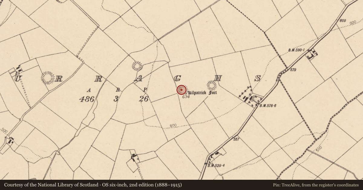 Ordnance Survey six-inch map, 2nd edition (1888–1915) covering the location of Church, Curraghs, County Cork, with a pin at the register's coordinates