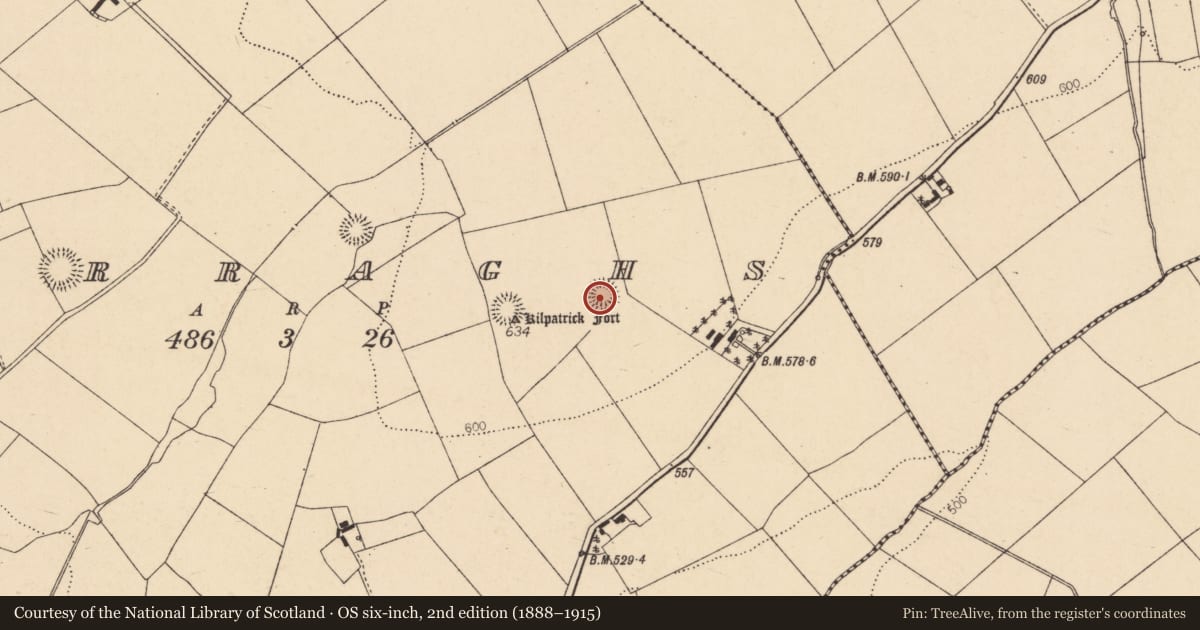 Ordnance Survey six-inch map, 2nd edition (1888–1915) covering the location of Ringfort - rath, Curraghs, County Cork, with a pin at the register's coordinates