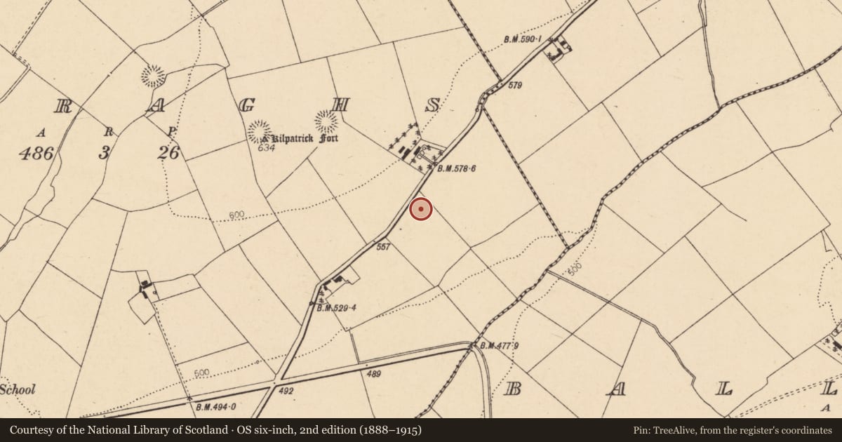 Ordnance Survey six-inch map, 2nd edition (1888–1915) covering the location of Enclosure, Curraghs, County Cork, with a pin at the register's coordinates
