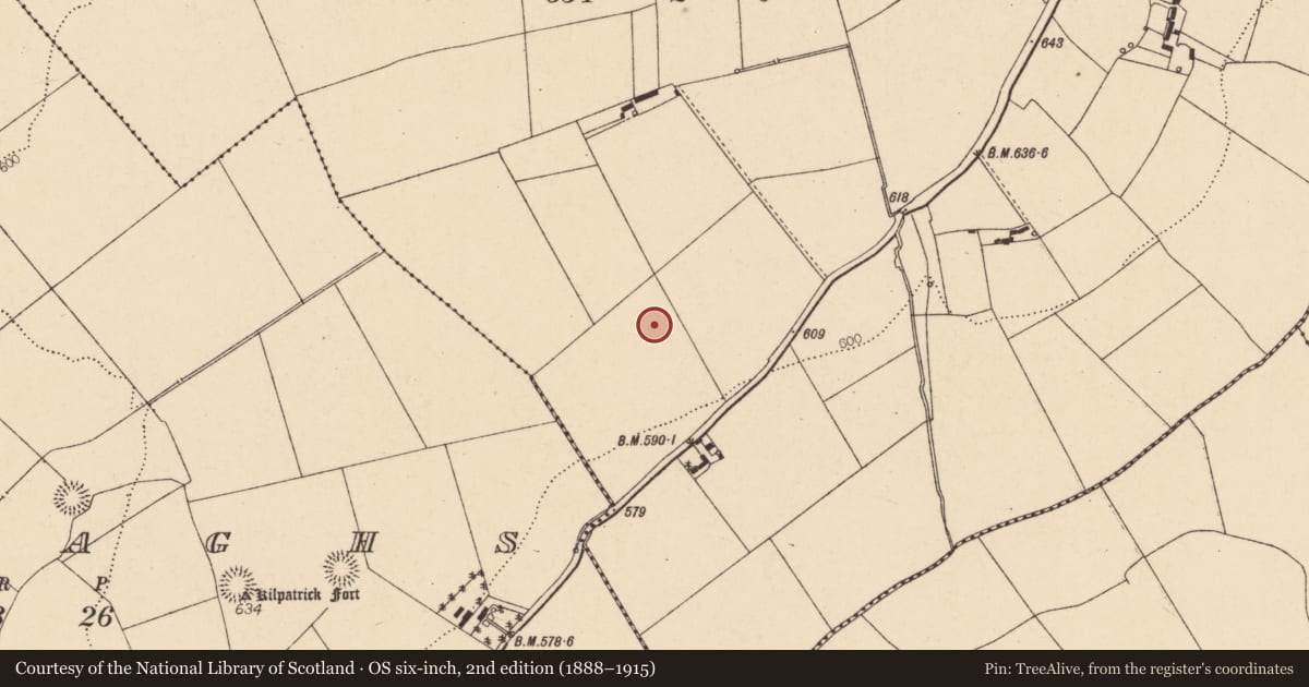 Ordnance Survey six-inch map, 2nd edition (1888–1915) covering the location of Ringfort - rath, Knockagolig, County Cork, with a pin at the register's coordinates