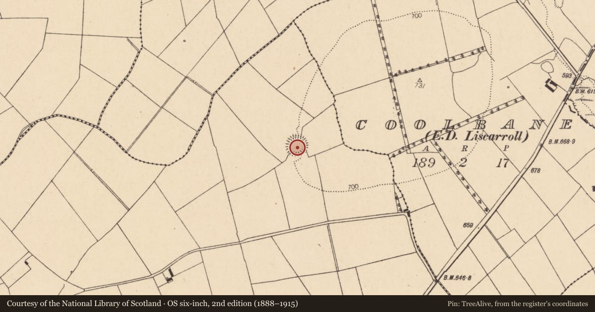 Ordnance Survey six-inch map, 2nd edition (1888–1915) covering the location of Ringfort - rath, Knockagolig, County Cork, with a pin at the register's coordinates