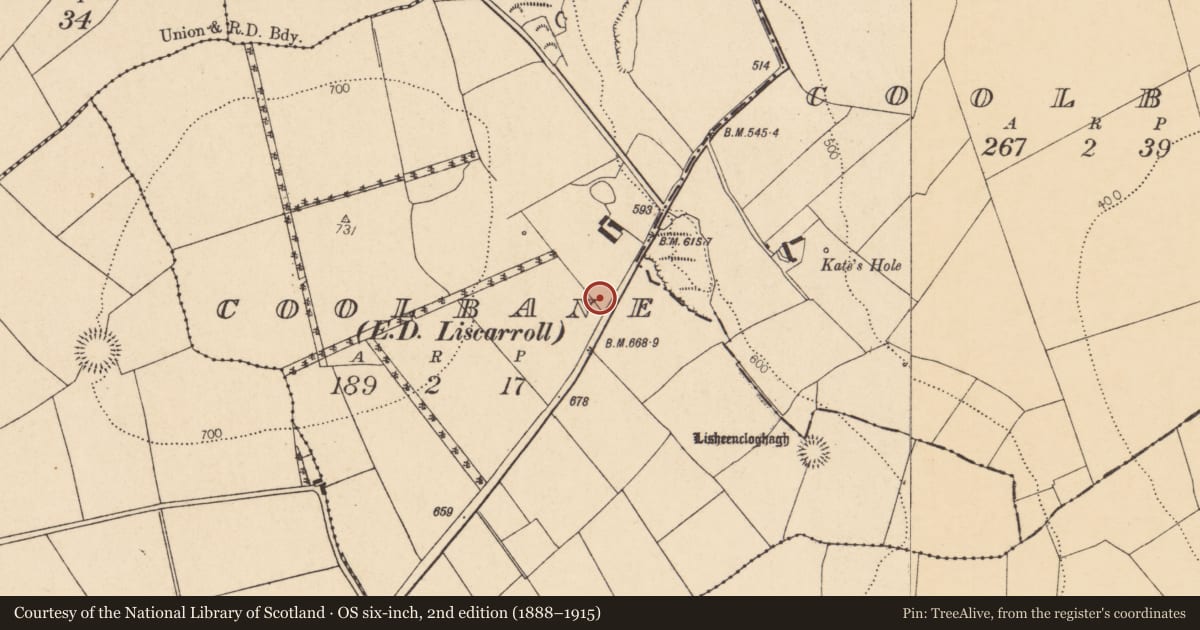 Ordnance Survey six-inch map, 2nd edition (1888–1915) covering the location of Quarry, Coolbane (Duhallow By., Knocktemple Par.), County Cork, with a pin at the register's coordinates