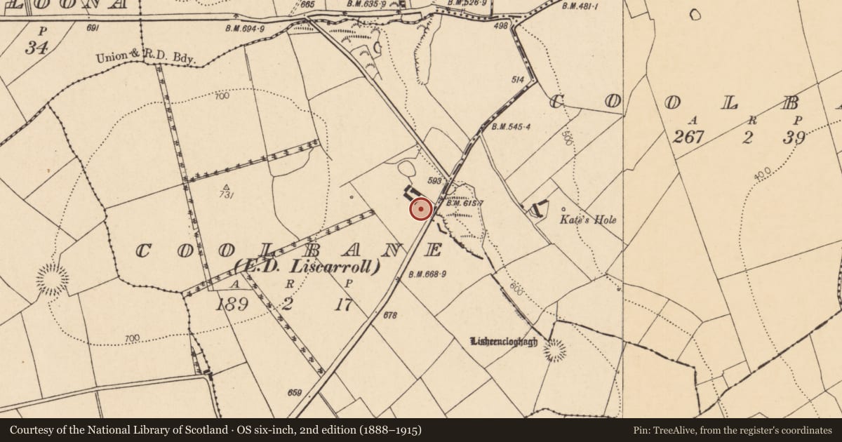 Ordnance Survey six-inch map, 2nd edition (1888–1915) covering the location of Ringfort - rath, Coolbane, County Cork, with a pin at the register's coordinates
