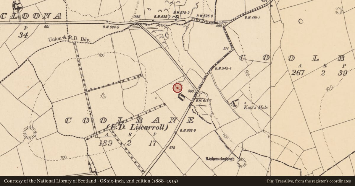 Ordnance Survey six-inch map, 2nd edition (1888–1915) covering the location of Souterrain, Coolbane, County Cork, with a pin at the register's coordinates