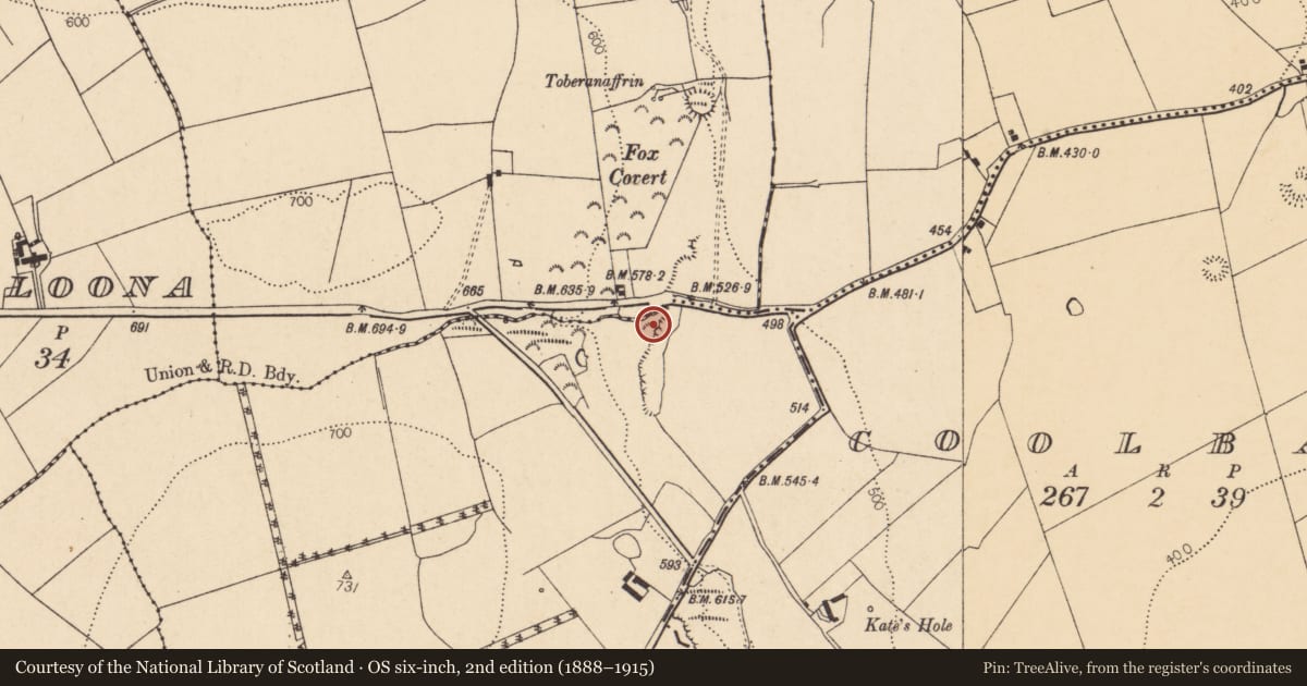 Ordnance Survey six-inch map, 2nd edition (1888–1915) covering the location of Ringfort - rath, Coolbane, County Cork, with a pin at the register's coordinates