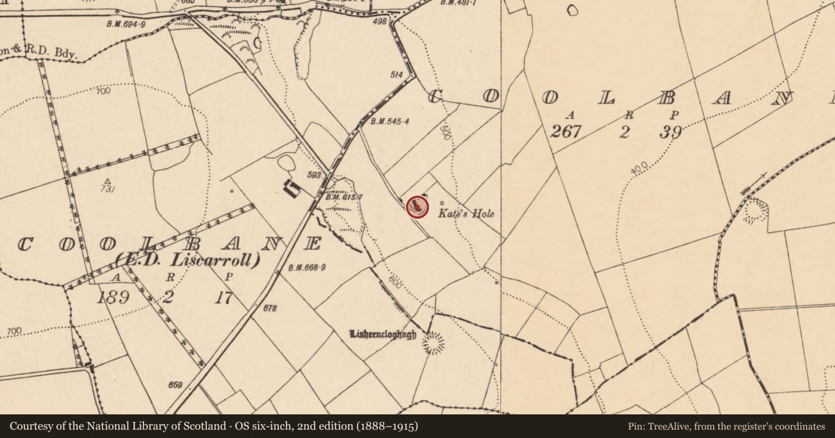 Ordnance Survey six-inch map, 2nd edition (1888–1915) covering the location of Quarry, Coolbane, County Cork, with a pin at the register's coordinates
