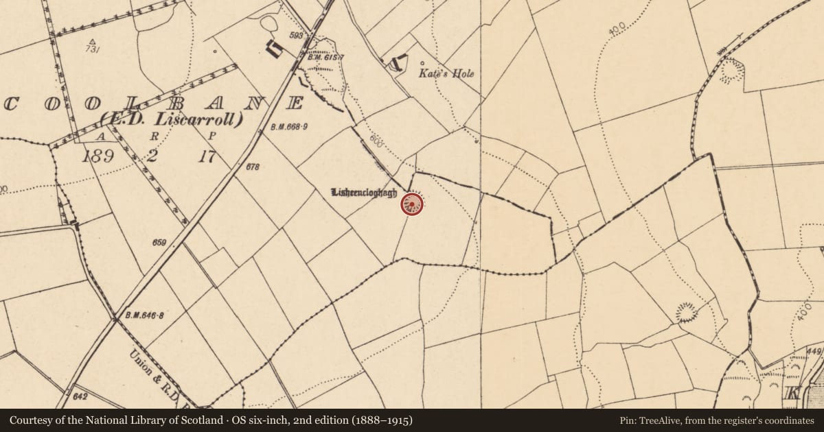 Ordnance Survey six-inch map, 2nd edition (1888–1915) covering the location of Ringfort - rath, Coolbane (Duhallow By., Knocktemple Par.), County Cork, with a pin at the register's coordinates