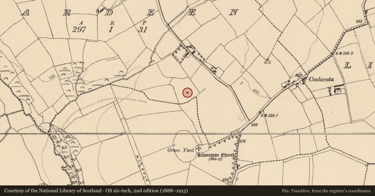 Ordnance Survey six-inch map, 2nd edition (1888–1915) covering the location of Fulacht fia, Gardeen, County Cork, with a pin at the register's coordinates