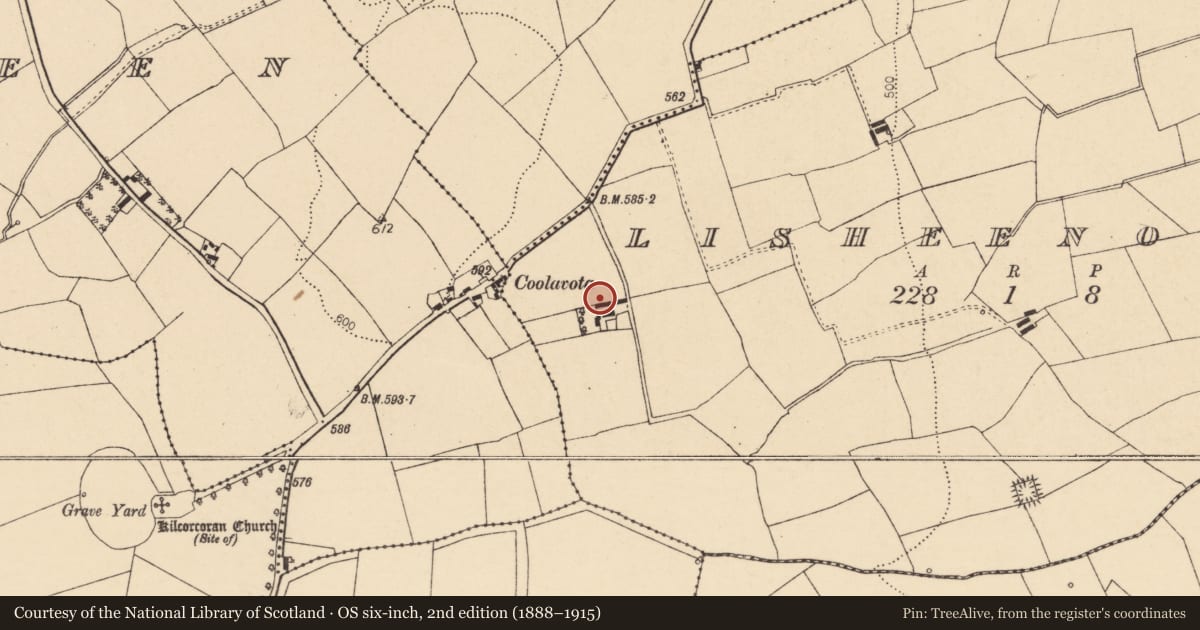 Ordnance Survey six-inch map, 2nd edition (1888–1915) covering the location of House - vernacular house, Lisheenowen, County Cork, with a pin at the register's coordinates