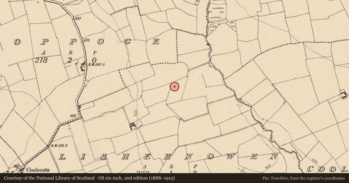 Ordnance Survey six-inch map, 2nd edition (1888–1915) covering the location of Fulacht fia, Lisheenowen, County Cork, with a pin at the register's coordinates
