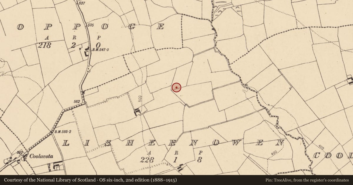 Ordnance Survey six-inch map, 2nd edition (1888–1915) covering the location of Fulacht fia, Lisheenowen, County Cork, with a pin at the register's coordinates