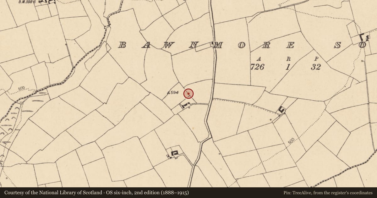 Ordnance Survey six-inch map, 2nd edition (1888–1915) covering the location of Ringfort - rath, Bawnmore South, County Cork, with a pin at the register's coordinates
