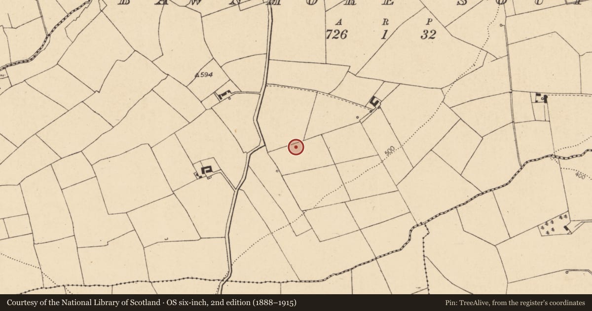 Ordnance Survey six-inch map, 2nd edition (1888–1915) covering the location of Fulacht fia, Bawnmore South, County Cork, with a pin at the register's coordinates