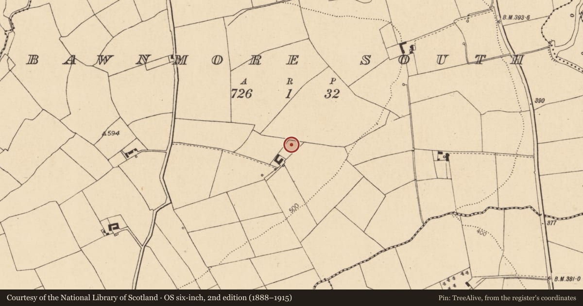 Ordnance Survey six-inch map, 2nd edition (1888–1915) covering the location of Fulacht fia, Bawnmore South, County Cork, with a pin at the register's coordinates