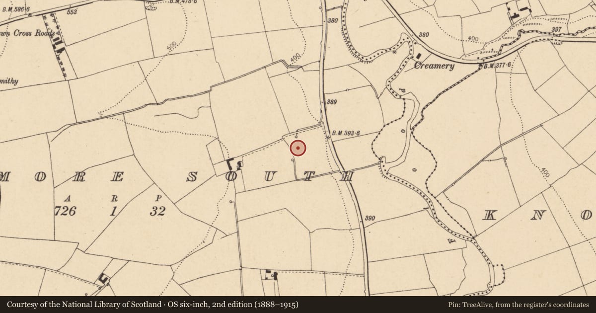 Ordnance Survey six-inch map, 2nd edition (1888–1915) covering the location of Fulacht fia, Bawnmore South, County Cork, with a pin at the register's coordinates