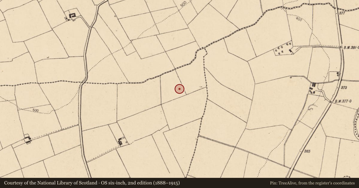 Ordnance Survey six-inch map, 2nd edition (1888–1915) covering the location of Fulacht fia, Coolageela West, County Cork, with a pin at the register's coordinates
